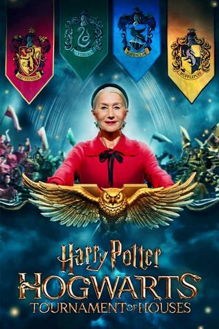 Harry Potter: Hogwarts Tournament of Houses saison 1